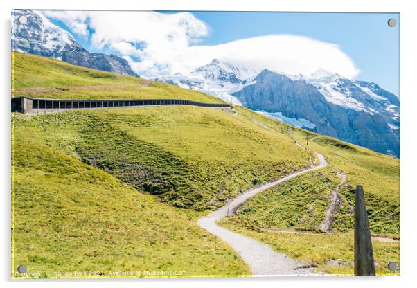 Swiss Jungfrau mountain Acrylic by Sanga Park