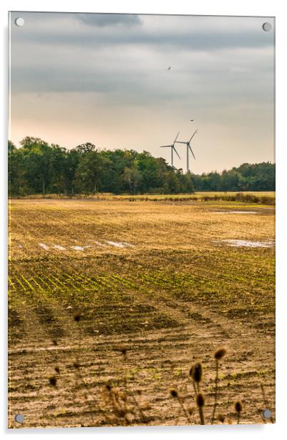 Autumn - Wind Energy Farming,  Acrylic by Blok Photo 