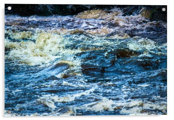 The River Spey at Dulnain Bridge Acrylic by Mark Ambrose