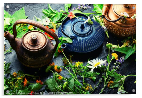 Teapot with fresh medicinal herbs Acrylic by Mykola Lunov Mykola