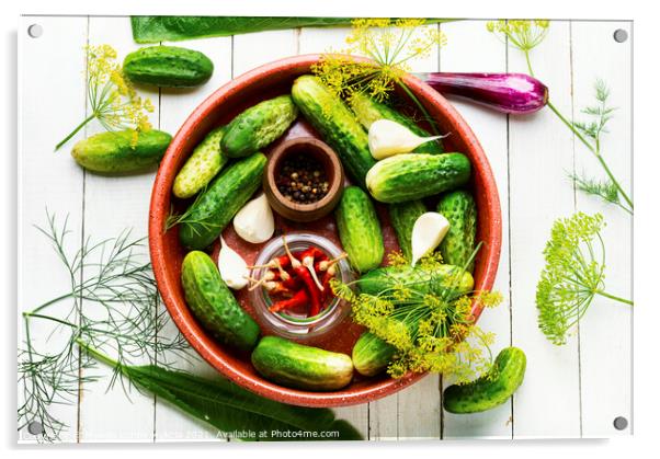 Homemade cucumber pickling and ingredients Acrylic by Mykola Lunov Mykola