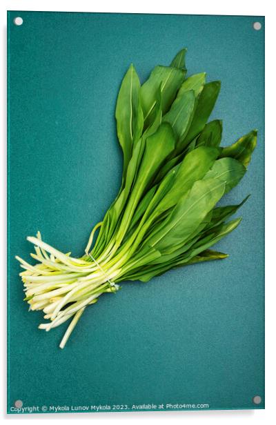 Leaves wild garlic, bunch homeopathic herbs Acrylic by Mykola Lunov Mykola