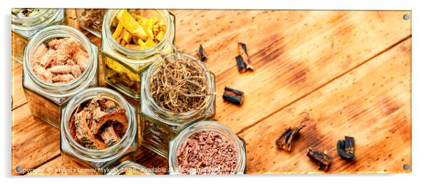 Healing herbs or medicinal herbs Acrylic by Mykola Lunov Mykola