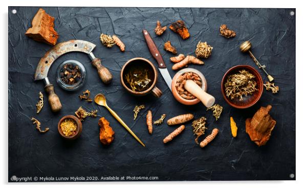 Medicinal herbal tea Acrylic by Mykola Lunov Mykola
