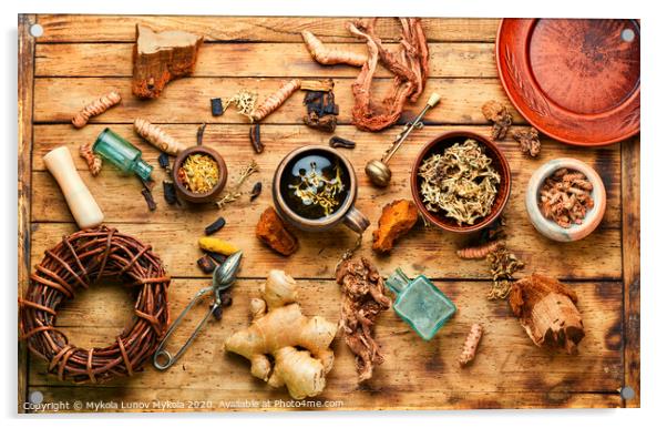 Tea and a set of medicinal herbs Acrylic by Mykola Lunov Mykola