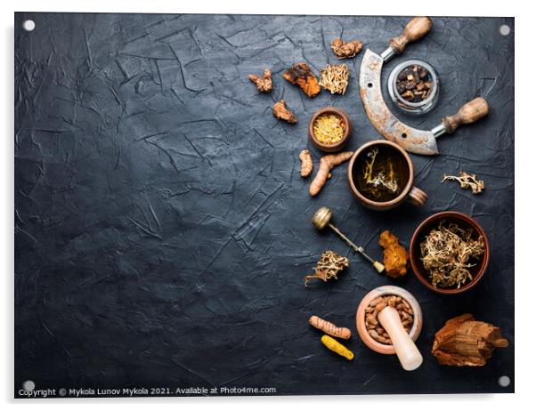 Tea and a set of medicinal herbs Acrylic by Mykola Lunov Mykola