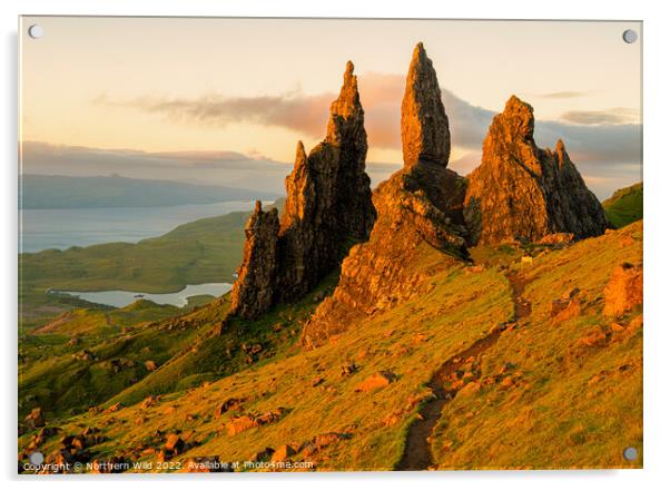 Morning Glow Over Old Man of Storr Acrylic by Northern Wild