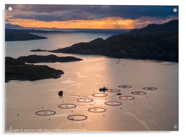Scottish Twilight Over Salmon Farms Acrylic by Northern Wild