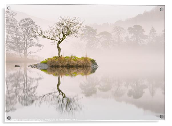 Rydal water lone tree island in the mist. English lake district UK Acrylic by Northern Wild
