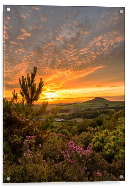Roseberry Topping sunset Acrylic by Northern Wild