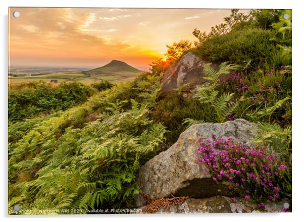 Roseberry Topping Heather Acrylic by Northern Wild