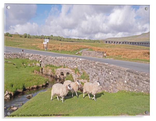Sheep near Ribblesdale Viaduct  Acrylic by chris hyde