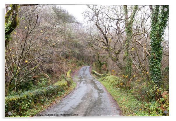 Country Lane in Wales Acrylic by chris hyde