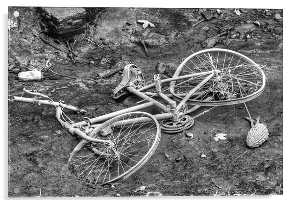 On yer Bike Acrylic by David French