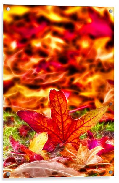Autumn fractals leafs Acrylic by David French