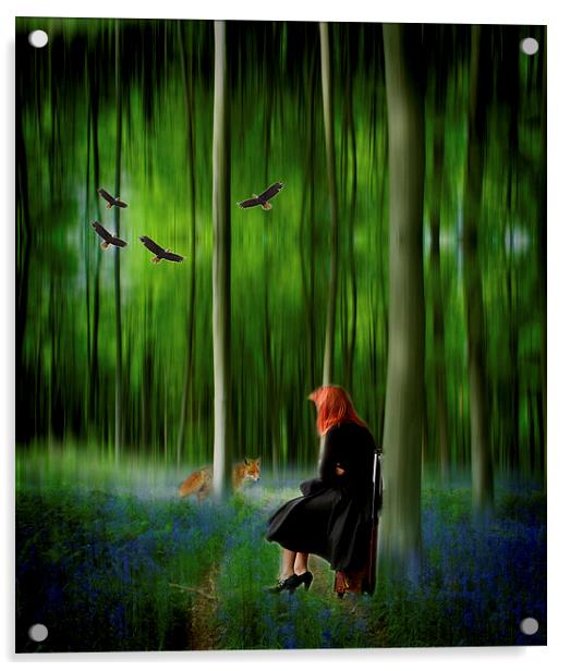 Red riding hood in Blue Bell wood   Digital art Acrylic by David French
