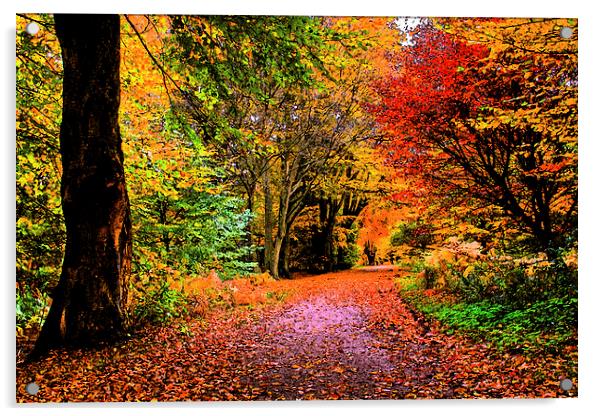 Epping Forest fresco Acrylic by David French