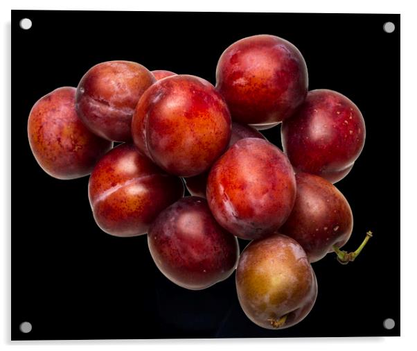 Victoria Plums Acrylic by David French