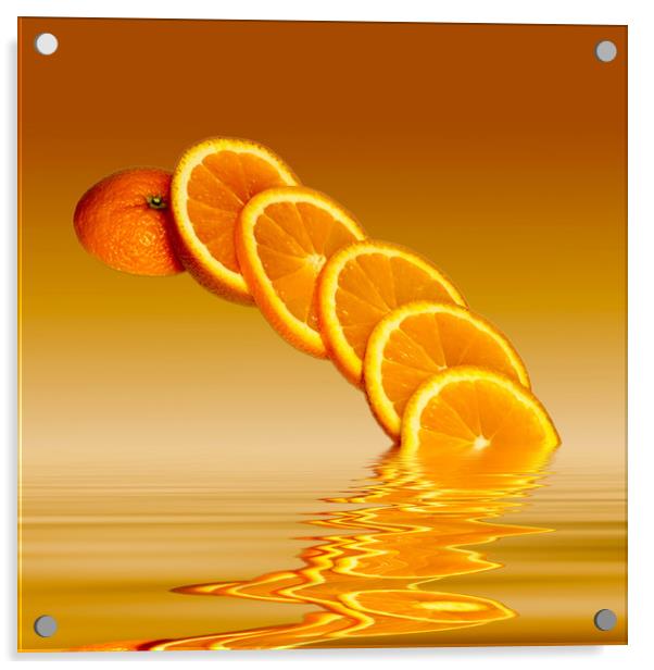 Slices Orange Citrus Fruit Acrylic by David French