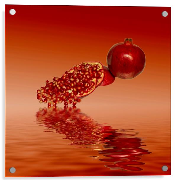 Pomegranate superfood fruit Acrylic by David French
