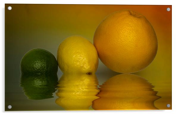 Grapefruit Lemon and Lime Citrus Fruit Acrylic by David French