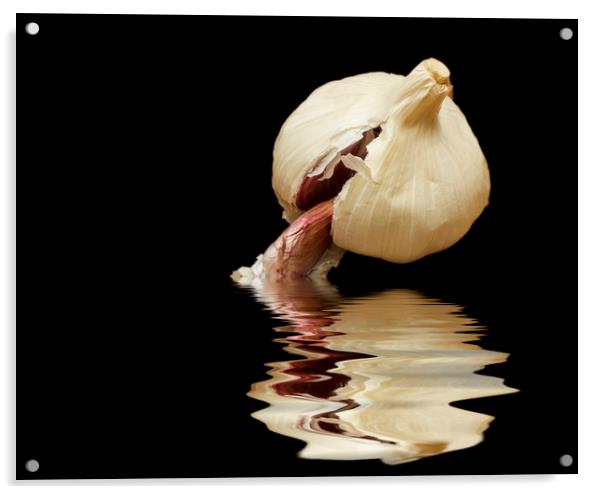 Garlic cloves of Garlic Acrylic by David French