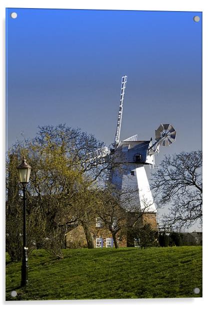 Windmill Baker Street  Orsett Thurrock Essex Acrylic by David French