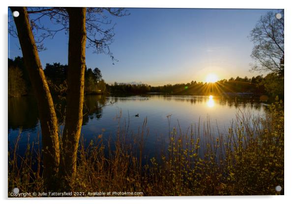 Lake sunset Sherwood Forest  Acrylic by Julie Tattersfield