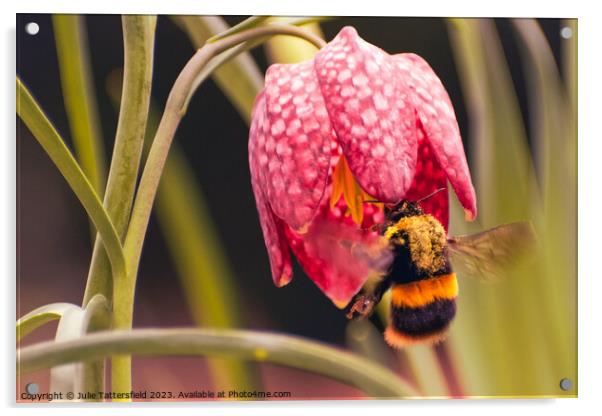 bumble bee's pollen lunch Acrylic by Julie Tattersfield