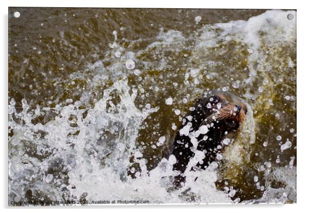 Making a splash!  Acrylic by Julie Tattersfield