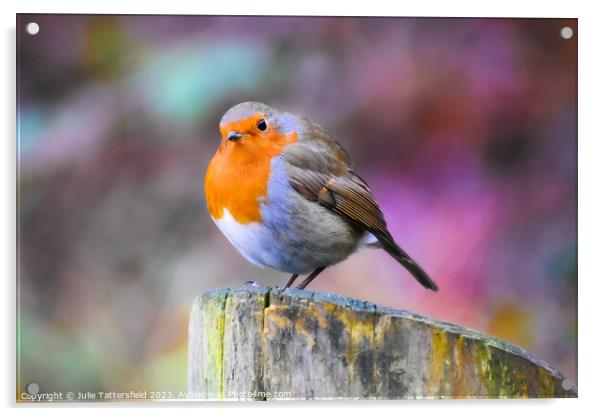 Robin in winter Acrylic by Julie Tattersfield