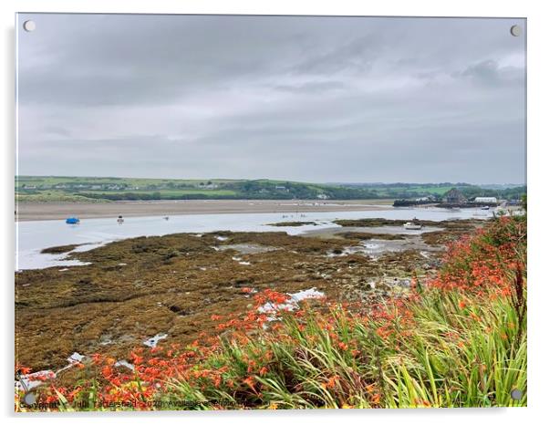 Coast path flowers with a beach view Acrylic by Julie Tattersfield