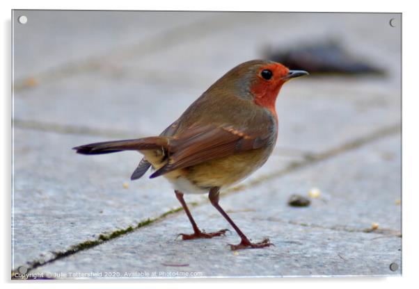 Christmas Robin Acrylic by Julie Tattersfield