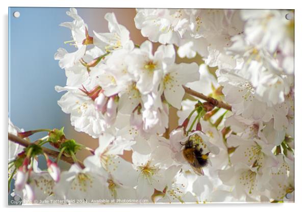 Bee enjoying the pollen from the spring blossom  Acrylic by Julie Tattersfield