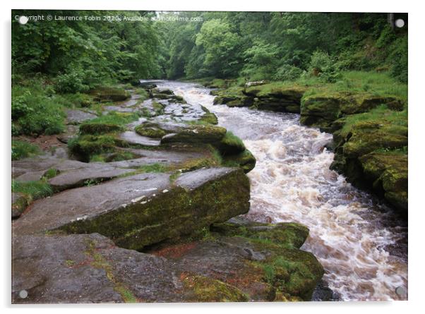 Rapids on The Strid near Bolton Abbey Acrylic by Laurence Tobin