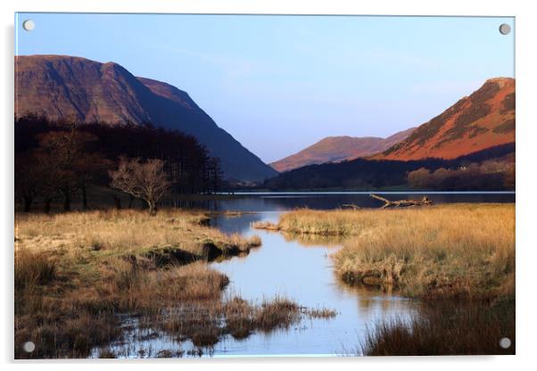 Buttermere Lake District  Acrylic by David Thompson