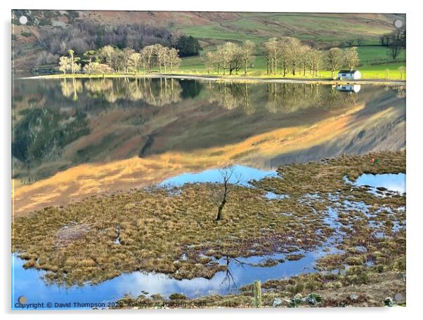 Buttermere Lake District Acrylic by David Thompson