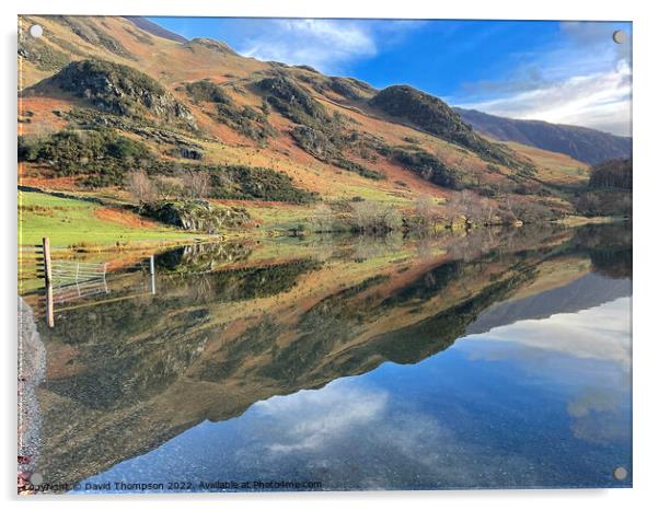 Buttermere Lake District Acrylic by David Thompson