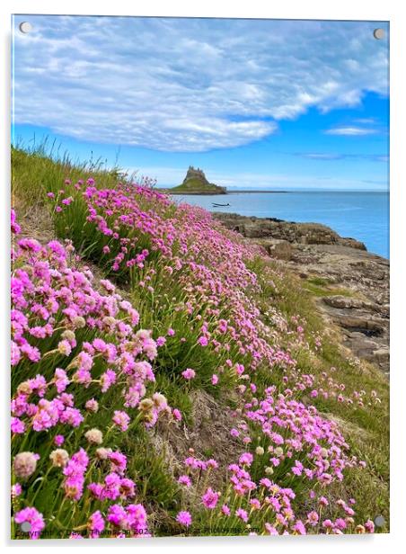 Holy Island Northumberland  Acrylic by David Thompson