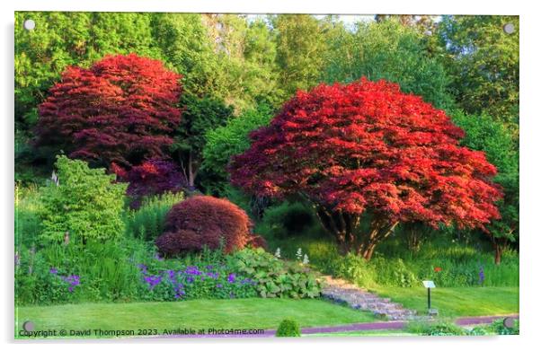 Morpeth Flower Park Acrylic by David Thompson