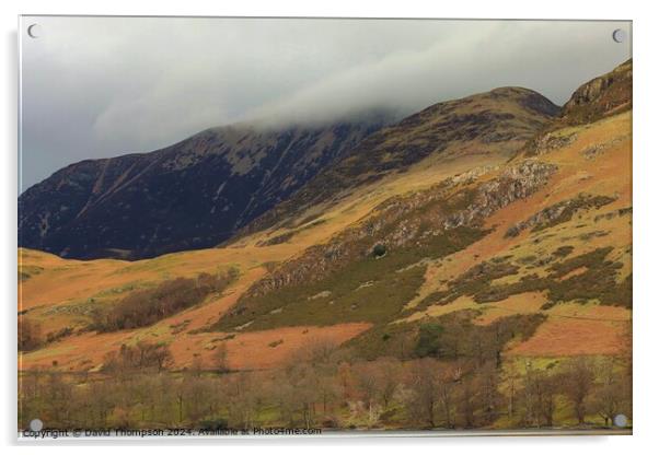 Buttermere Mist  Acrylic by David Thompson