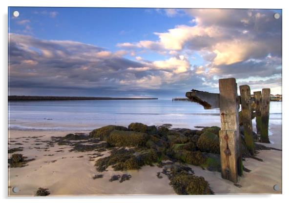 Amble Harbour Northumberland Coast  Acrylic by David Thompson