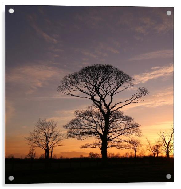 Ponteland Sunset Northumberland Acrylic by David Thompson