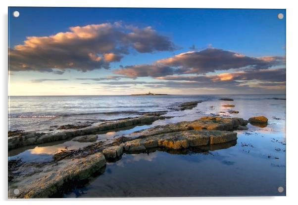 Coquet Island Amble Northumberland Coast  Acrylic by David Thompson