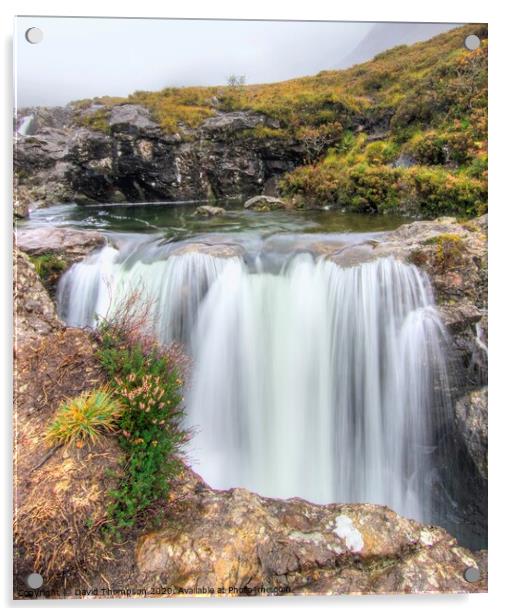 Fairy Pools Isle of Skye Scotland Acrylic by David Thompson