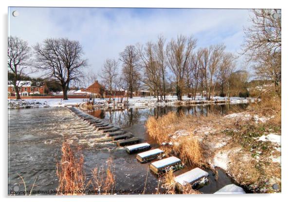  Stepping Stones Morpeth Northumberland Acrylic by David Thompson