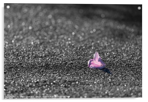 colorful Pink and red flower fallen on grey tarmac Acrylic by Rhys Leonard