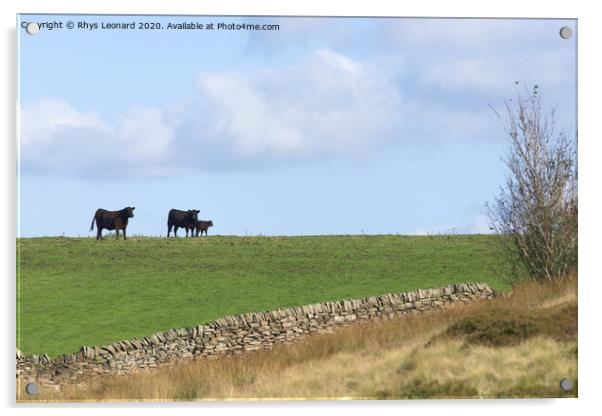 Loving family of 3 cattle stand on the horizon of a luscious field Acrylic by Rhys Leonard