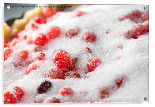 Redcurrant and sugar macro shot Acrylic by Rhys Leonard