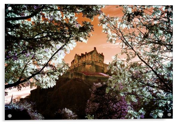 Edinburgh Castle through the trees Acrylic by Philip Hawkins